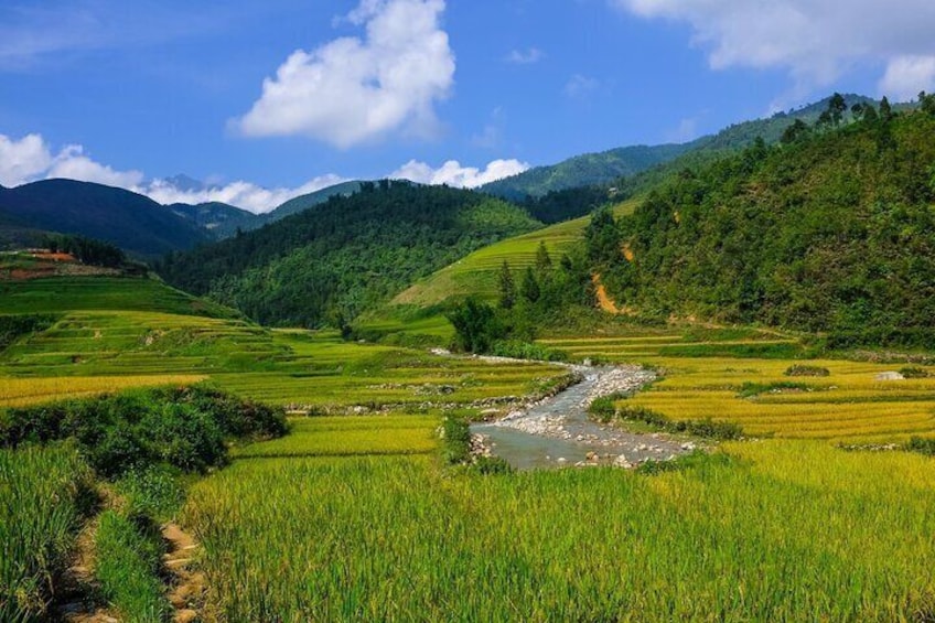 2 days authentic trekking tour in Sapa ( Homestay - Less touristy )