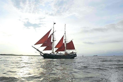 Voyage sur la plage de l'île à bord d'un bateau à voile pirate Boissons inc...