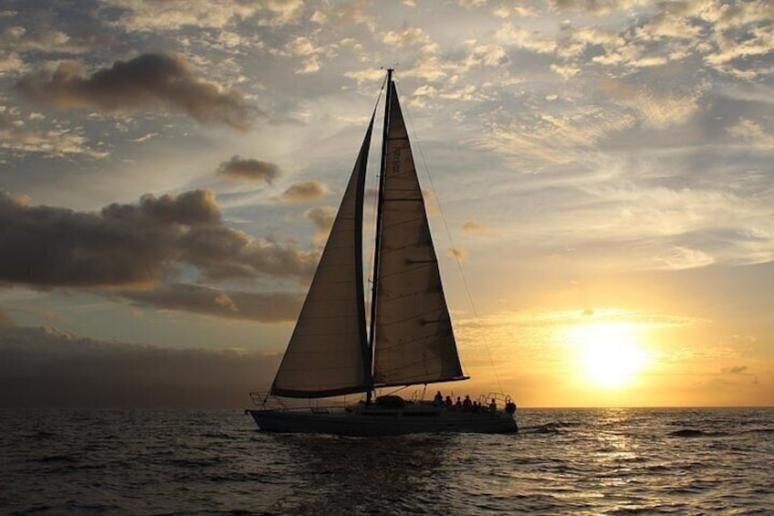 Let the worries wander off with the sunset and let us do all the work.
