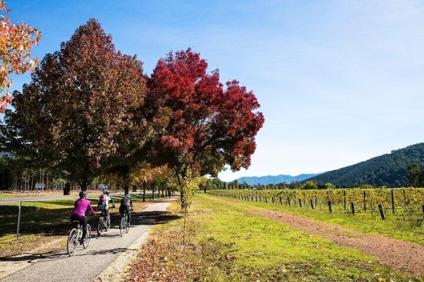 2-Night Murray to Mountain Trail Bike Tour from Beechworth