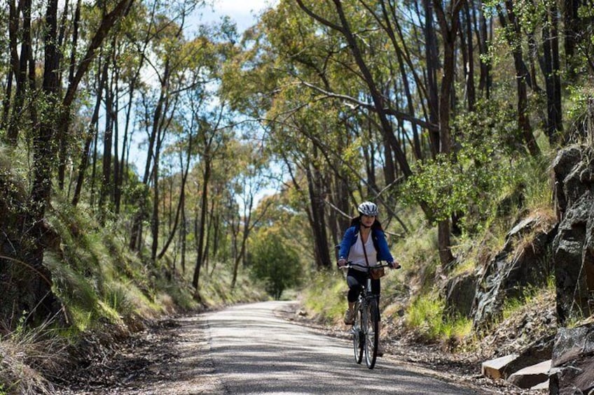 Self-Guided Gourmet Culinary Cycling Day Tour From Beechworth