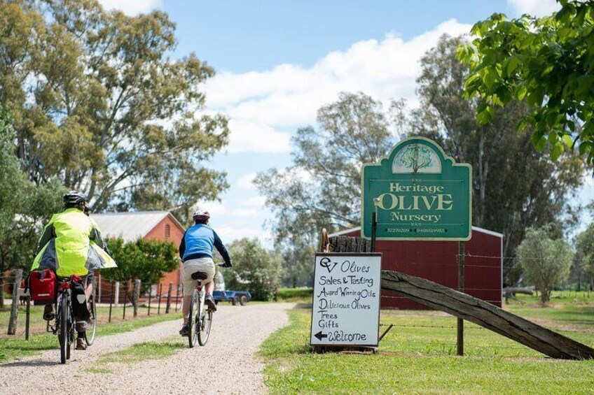 Self-Guided Gourmet Culinary Cycling Day Tour From Beechworth