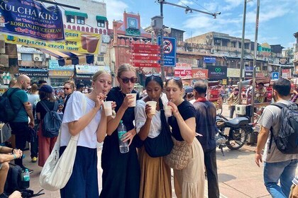 Old Delhi Street Food, Spice Market, Cultureel & Tempels - Alles INCL