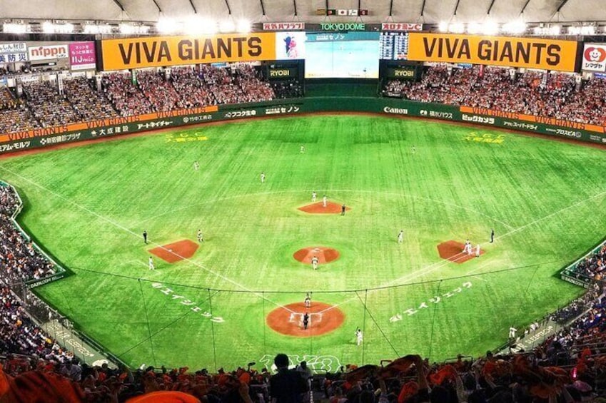 Baseball Professional • Yomiuri Giants