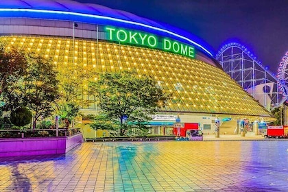 Baseball Professional • Yomiuri Giants