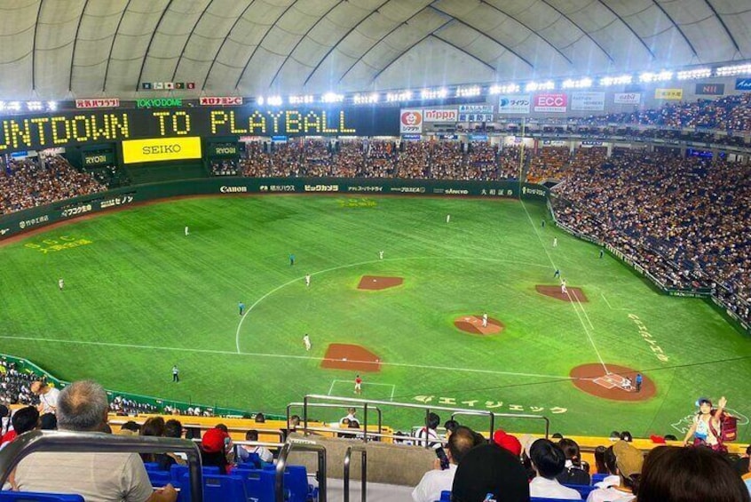 Baseball Professional • Yomiuri Giants