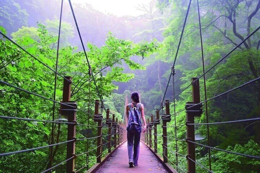 Takao Mountain Adventure