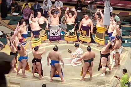 大相撲比賽 東京 - 大阪 - 名古屋 - 福岡