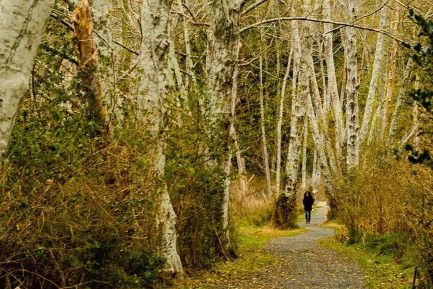 Walk along beautiful trails