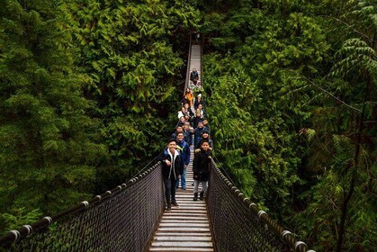 Lynn Canyon Suspension Bridge & Park Photography