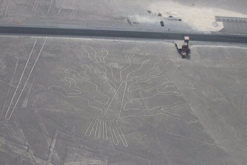 The Mysterious Nazca Lines & The Huacachina Oasis - from Lima (Small Group)