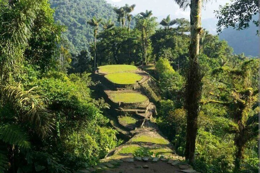 Discover Lost City: 4-Day Hike in Santa Marta