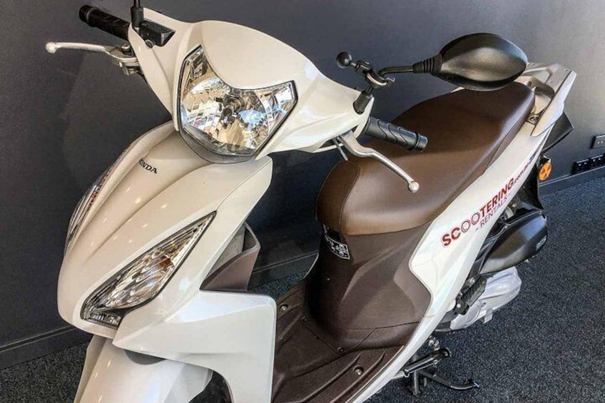 Honda NSC110 Dio Scooter for rental in Sydney