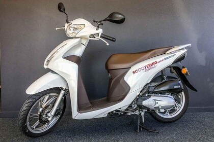 Scooter Rental - Honda NSC110 Dio 110cc