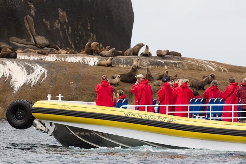 Wilsons Promontory Wilderness Cruise from Tidal River