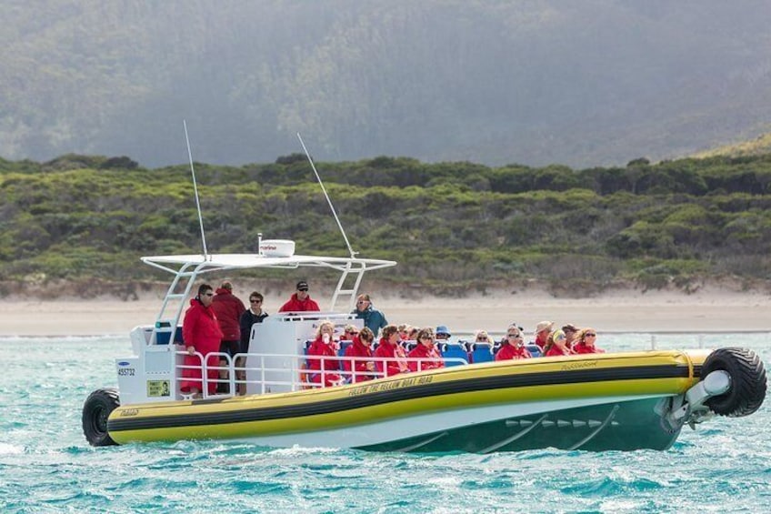 Wilsons Promontory Wilderness Cruise from Tidal River