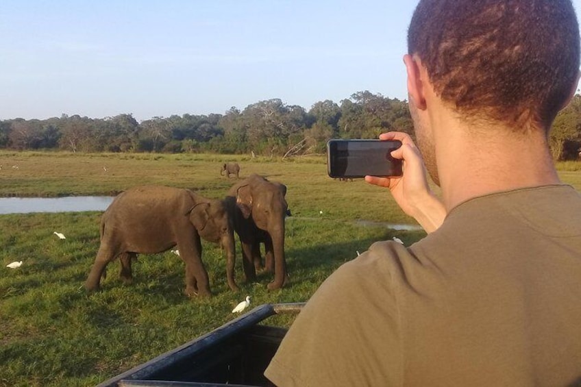 Minneriya safari in polonnaruwa sri lanka