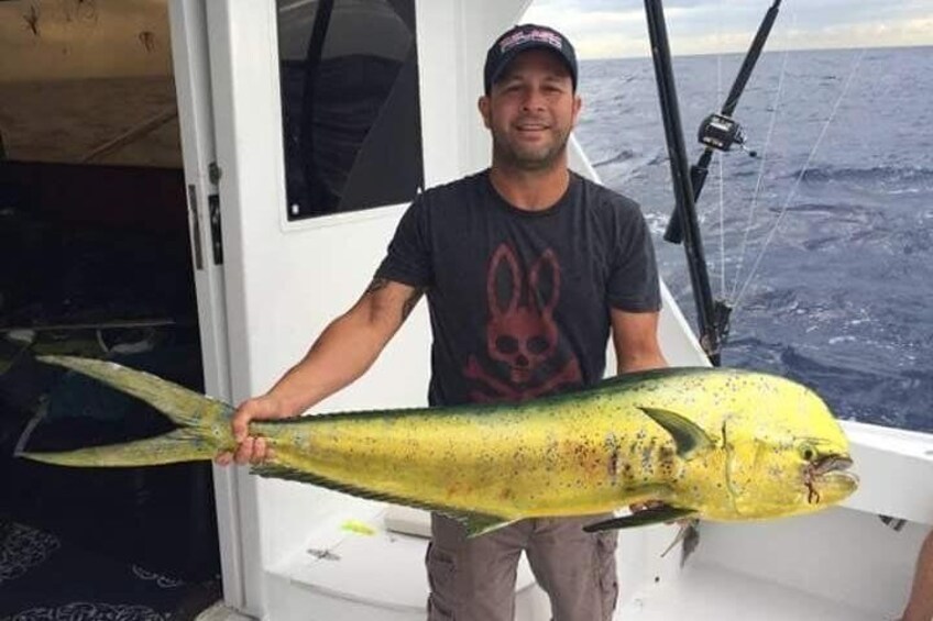 Mahi Mahi