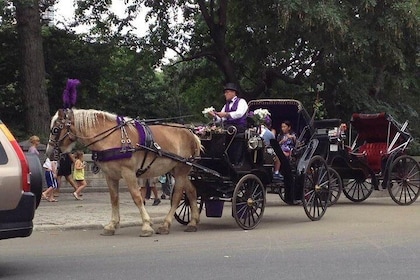 NYC Central Park Horse and Carriage Ride: Long Ride 45 min