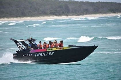Noosa Thriller - 500hp Ocean Adventure Ride