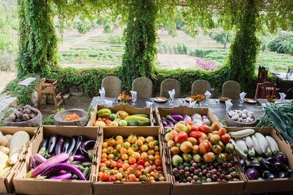 Organic Farm to Table