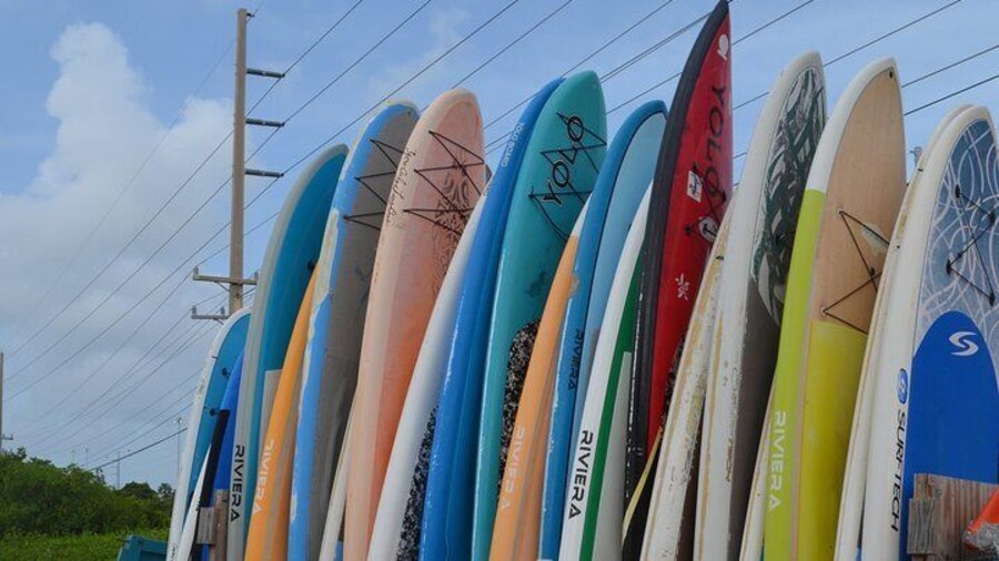 Key West Stand Up Paddleboard Rental