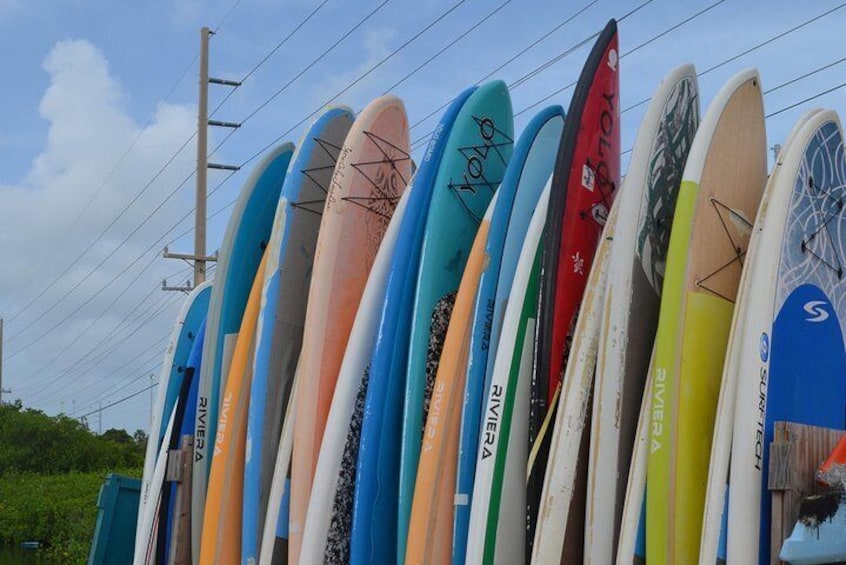 Key West Stand Up Paddleboard Rental with Included Lesson