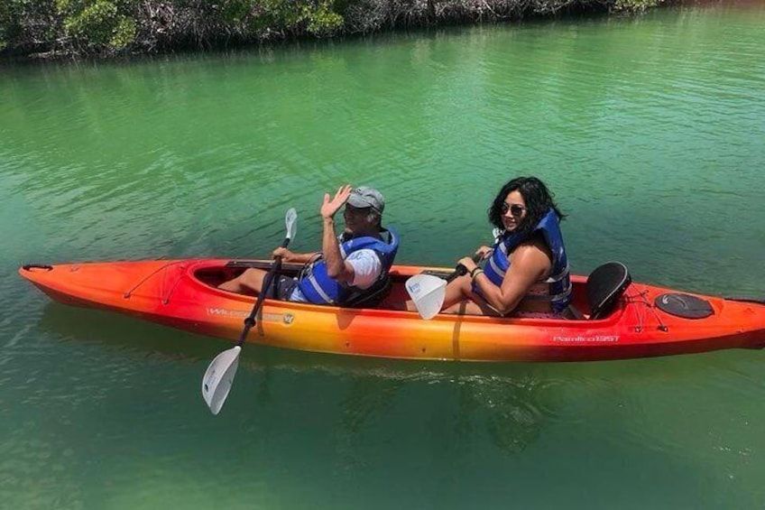 Key West Mangrove Kayak Eco Tour