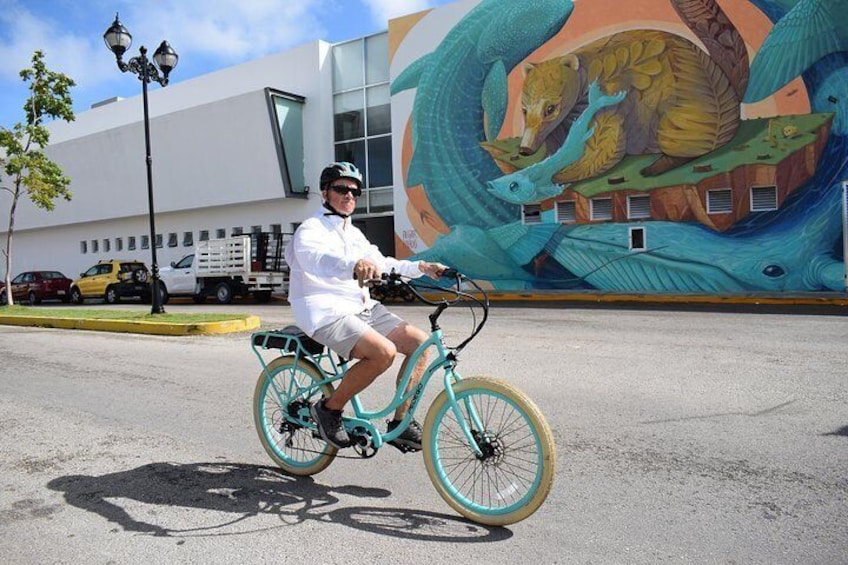 E-Bike City Tour though Cozumel & Taco Tasting Tour