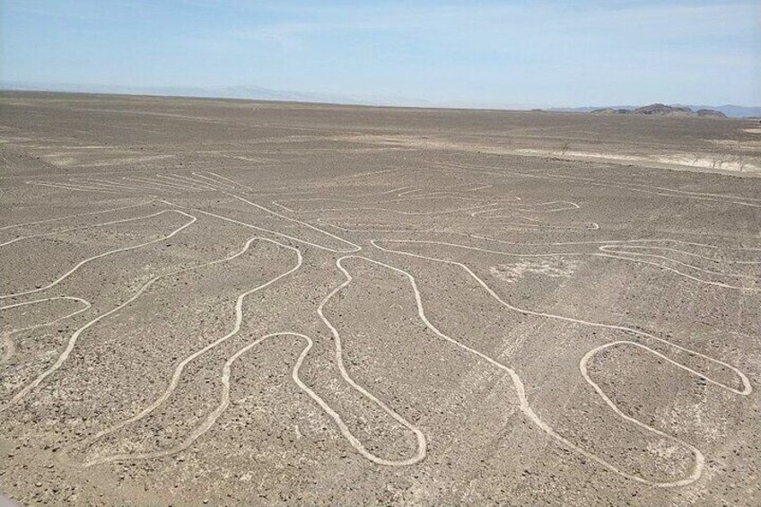 The Nazca Lines & Huacachina Oasis & Sandboarding - from Lima (Small Group)