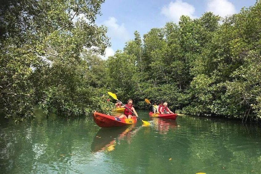 4-Waters Eco-Adventure Trip from Phuket Including Lunch