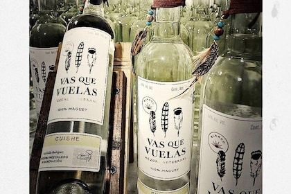 Cabo San Lucas Mezcal Verkostungs- und Cocktailkurs