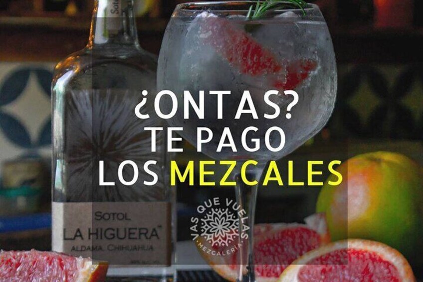 Cabo San Lucas Mezcal Tasting and Cocktail Class