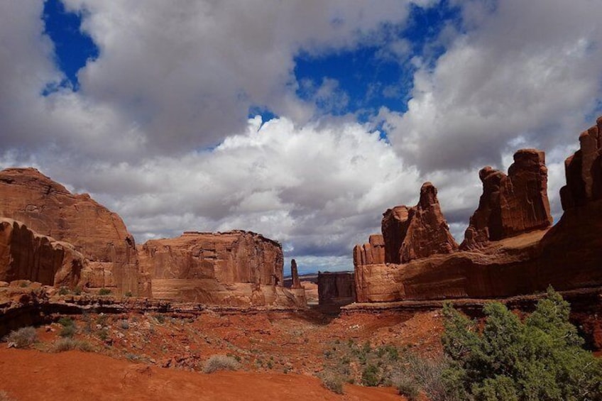 Our tour stop in Arches - Park Ave