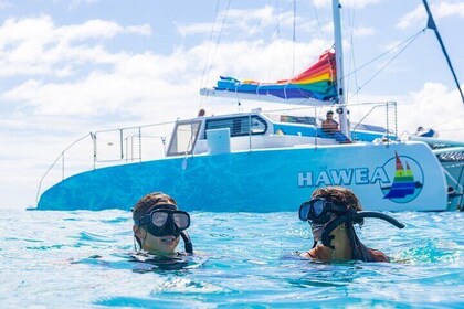 Waikiki Turtle Schnorchel- und Segel-Kombi auf dem Hawea-Katamaran