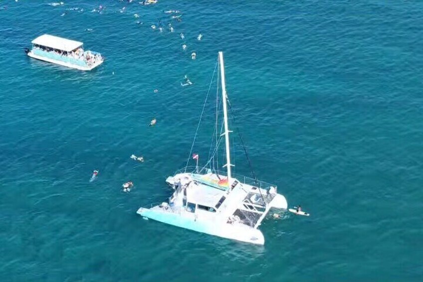 Waikiki Turtle Snorkel & Sail combo on Hawea Catamaran