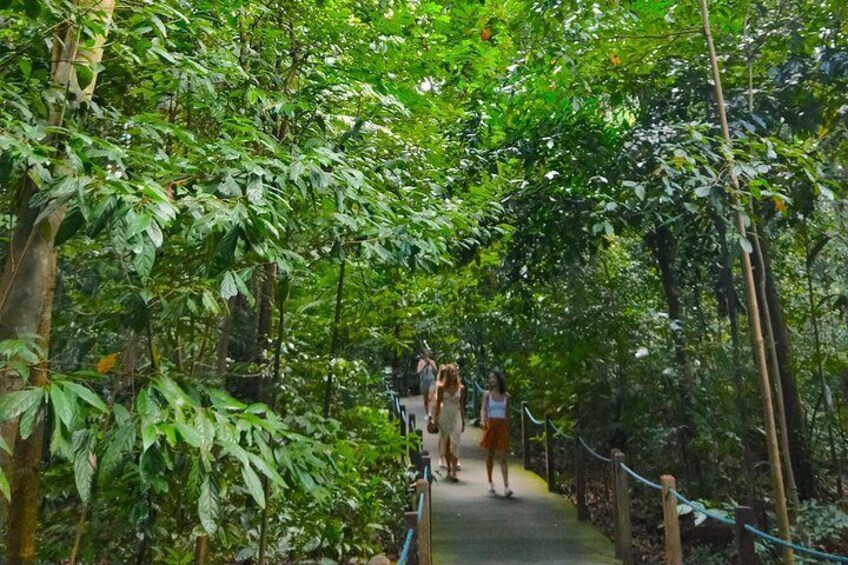 Walking Trail @forest floor