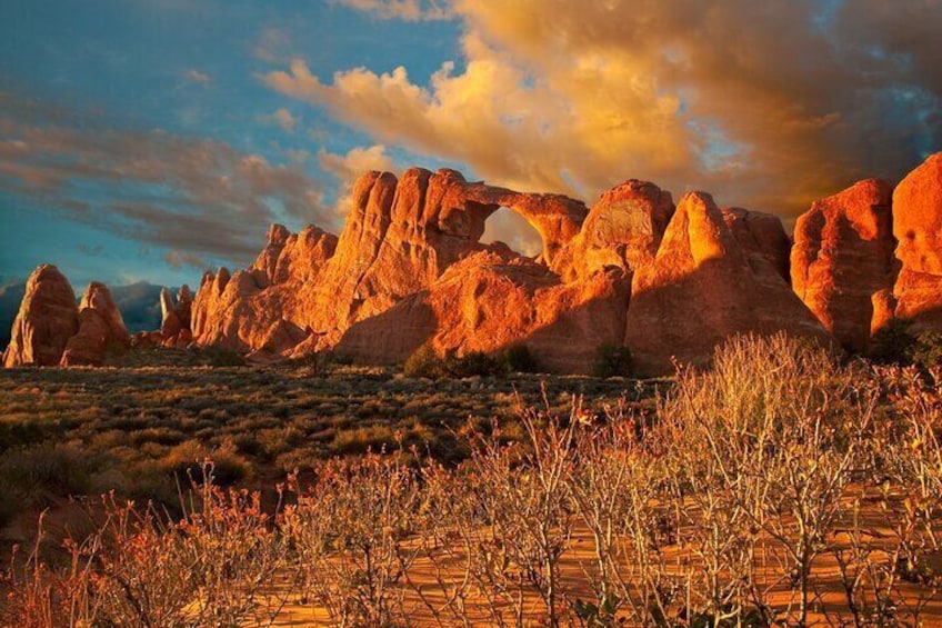 Immersive Arches National Park All Day Hiking Experience