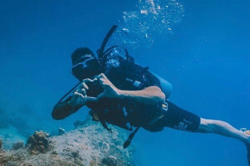 “Embark on a Professional and Passionate Scuba Diving Adventure!"