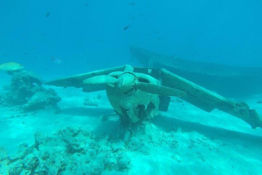 wrecks and tropical fishes snorkeling at 3:30pm