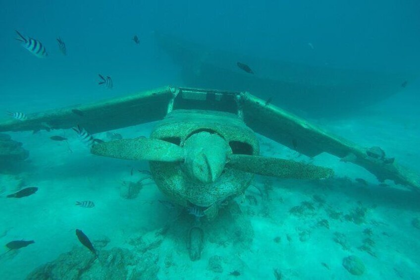 Tahiti wrecks and tropical fishes snorkeling at 10:30am