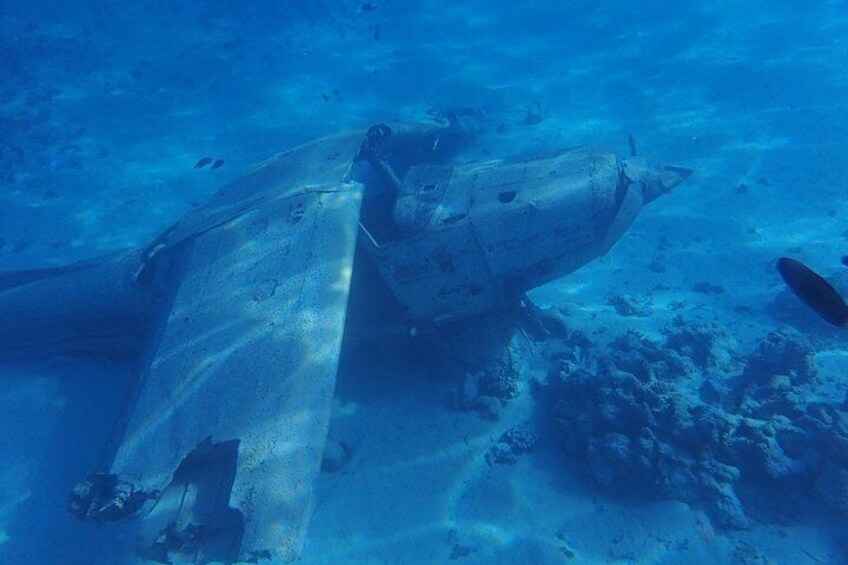 Tahiti wrecks and tropical fishes snorkeling at 10:30am