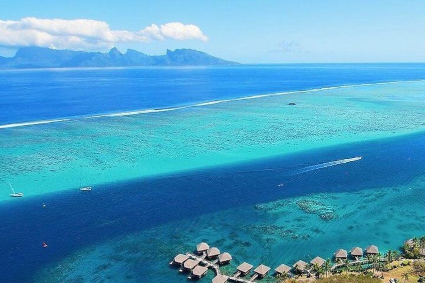 Tahiti wrecks and tropical fishes snorkeling at 1:00pm