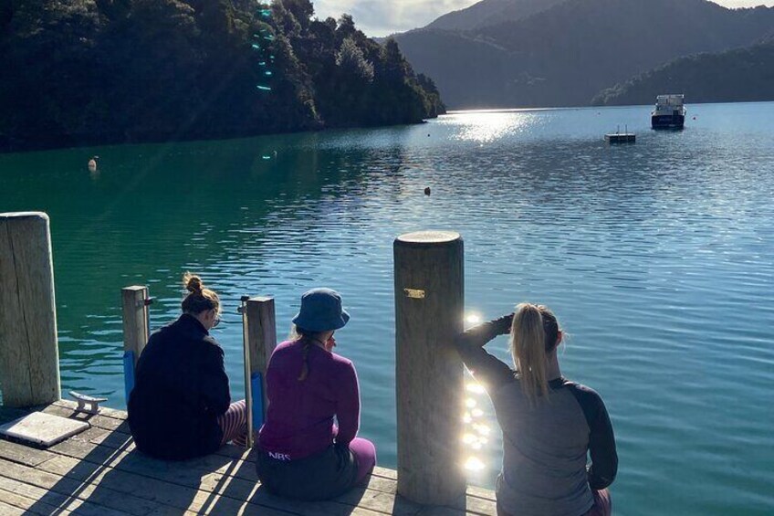 Lunchtime on a jetty in Queen Charlotte Sound