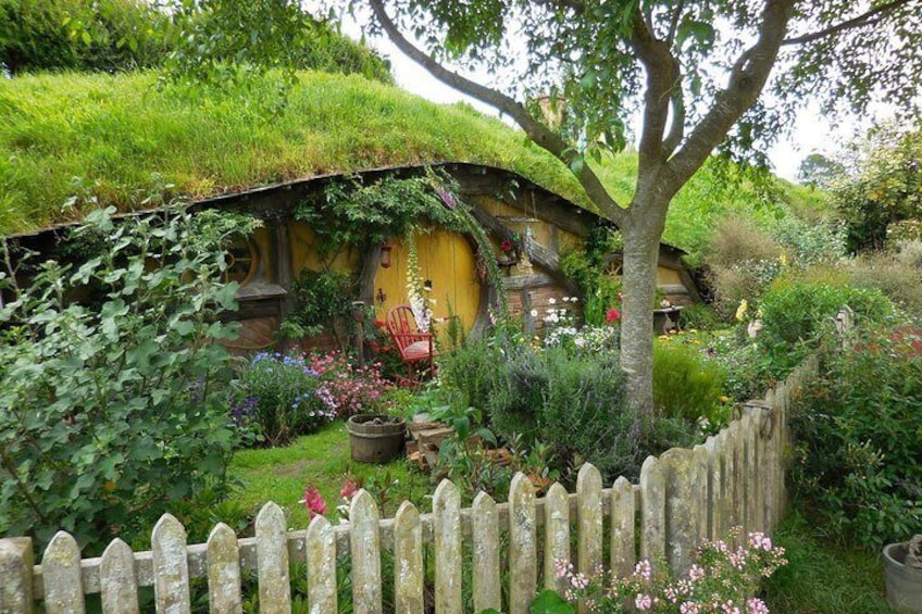 6hr Hobbiton Movie Set Tour