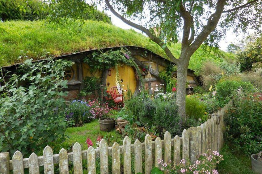 6hr Hobbiton Movie Set Tour