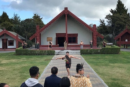 6hr Rotorua Geothermal Wonderland Tour - Departs Tauranga