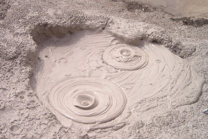 6hr Rotorua Geothermal Wonderland Tour - Departs Tauranga
