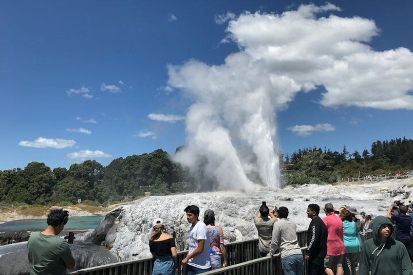 6hr Rotorua Geothermal Wonderland Tour