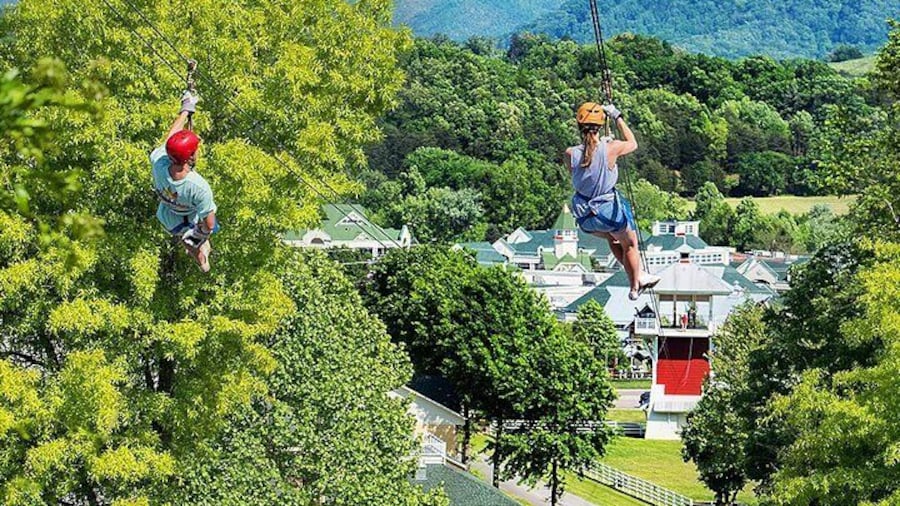 Small-Group 7-Line Zipline Activity at Sevierville Nature Park